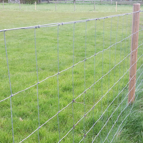Stock Fence
