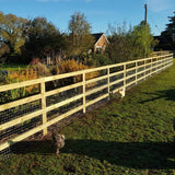 Wooden Fence Rail – 38x87x3600mm